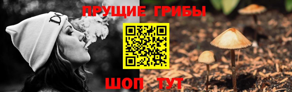 Галлюциногенные грибы Psilocybe  Вход с VPN  Псилоцибиновые грибы MAGIC MUSHROOMS  Кимовск 